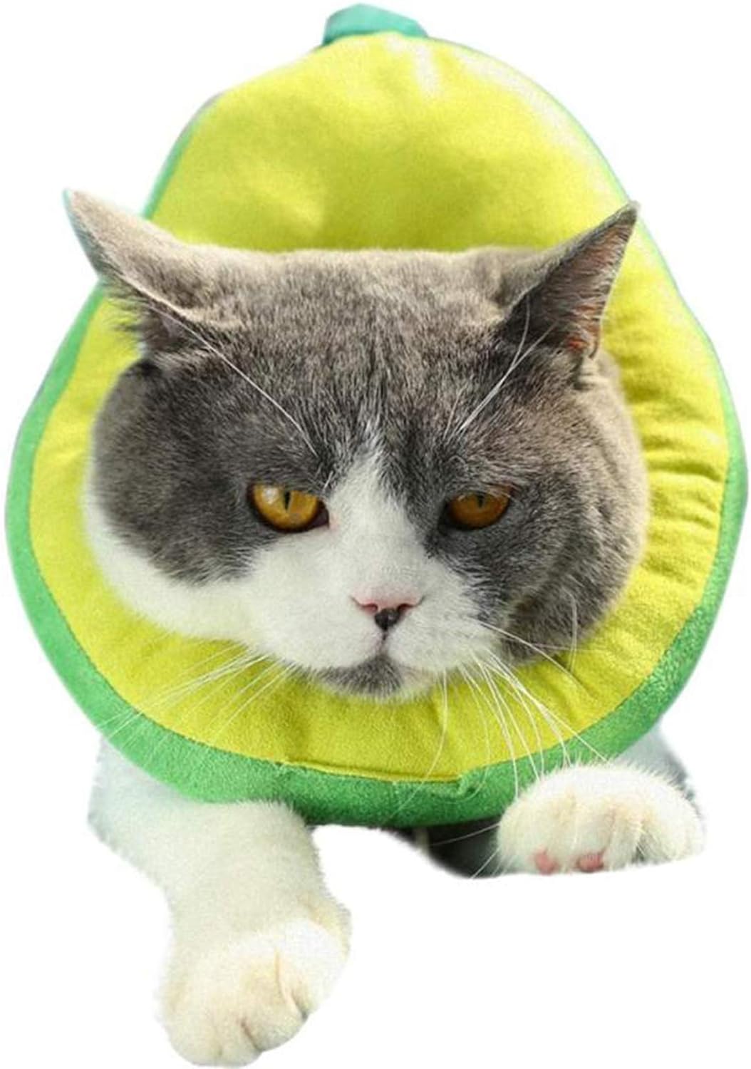 KVV Adjustable Cat Recovery Collar, Cute Toast Neck Cone After Surgery, Wound Healing Protective Cone Bread Surgery Recovery Elizabethan Collars, Soft Edge for Kitten and Cats(Toast)