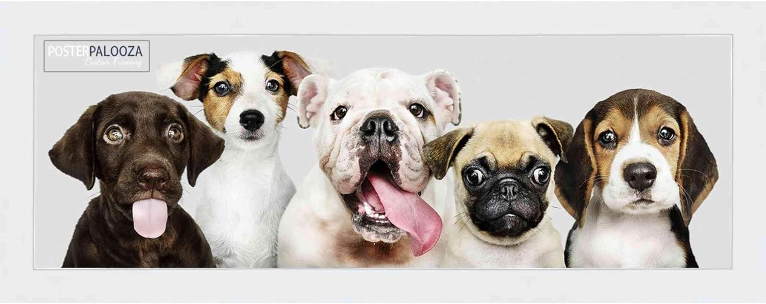 12x36 Contemporary White Wood Picture Panoramic Frame - Picture Frame Includes UV Acrylic, Foam Board Backing, & Hanging Hardware! Panoramic Poster Frame