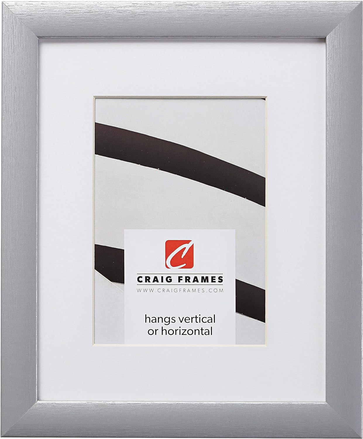 Craig Frames 23247018 17 x 22 Inch Brushed Silver Picture Frame Matted to Display a 13 x 19 Inch Photo