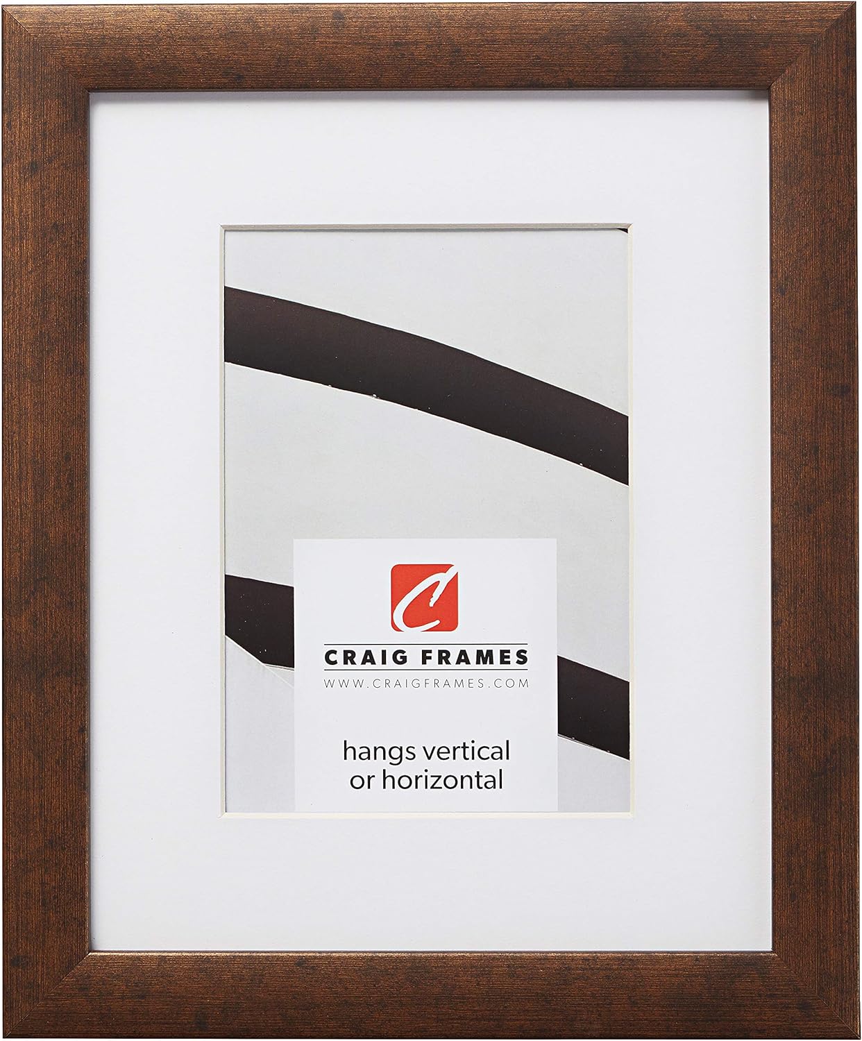 Craig Frames 23247018 17 x 22 Inch Brushed Silver Picture Frame Matted to Display a 13 x 19 Inch Photo