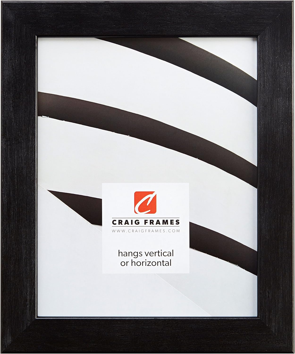 Craig Frames 26966 18 x 36-Inch Picture Frame, Smooth Wrap Finish, 1.26-Inch Wide, Silver Stainless